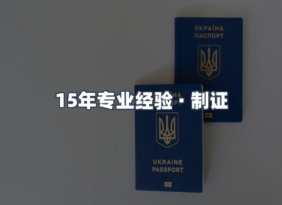 证件页面制证展示